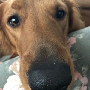 Meet your Posher, Tanee